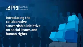 Introducing the collaborative stewardship initiative on social issues and human right