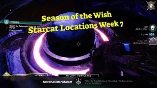 Season of the Wish Starcat Locations Week 7 #gaming #destiny2 #helpvideos #destinygame