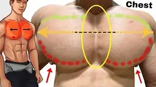 GET BIG CHEST WITH 6 PROVEN EXERCISES | CHEST WORKOUT