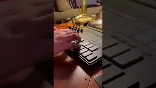 moog model 15 and korg nanokey studio mellow keys