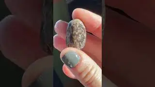Beach Stone Rock #beach #beachrock #beachstone
