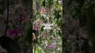 Floating Flowers in teamlab planets Tokyo! #japan #travelvlog #teamlabplanets #teamlabs #tokyo #yt