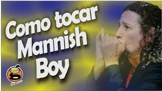 como tocar Mannish boy | Harmônica - Gaita de boca