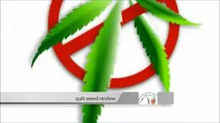 Quit Marijuana Seb Grant | Quit Marijuana The Complete Guide