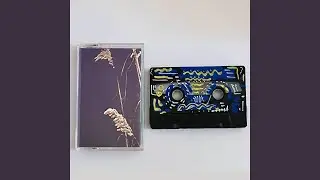 adaption