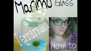 (Tutorial) How to make a Mini Marimo glass vial terrarium | Self sustaining