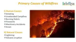 Wildfires: Causes, Effects, Prevention and Control- By Team EnviroVigyan