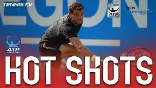 Hot Shot: Dimitrov Sends Backhand Lob Sailing Queens 2017