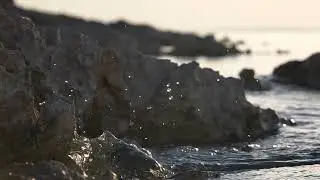 Rocky coast calm sea close up, detail, reveal shot | Free stock footage