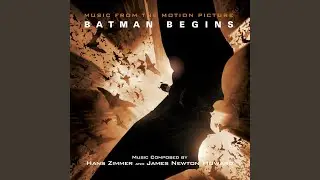 Myotis