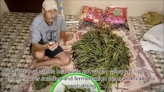 Drying vanilla beans ep 0-1: Sorting green beans (working and talking)