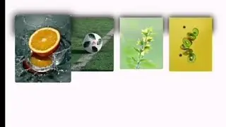 crad hover effect [Div Image Hover using HTML & CSS]#html #coding