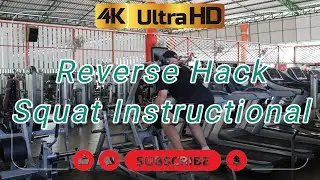 Reverse Hack Squat for massive leg gains! 🦵🔥 #trainerdavid