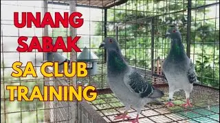 PAG TAPOS NG SELF TRAINING KINARGA KONA SILA SA CLUB TRAINING 