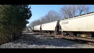 NS 41N