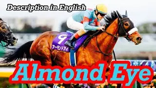 The strongest mare - Almond Eye（アーモンドアイ）,