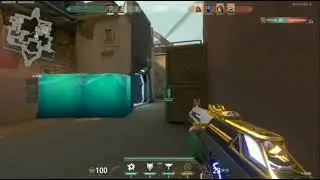 Proof That Prime Vandal Gives You Aimbot - Battle Skye Ace! (Valorant)