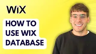 How to Use Wix Database [2026 Full Guide]
