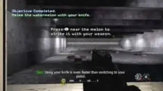 Call of Duty: Modern Warfare Reflex-F.N.G.