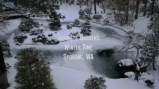 Japanese Gardens Winter time 4K HD