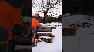 CUT CONTROL Hilfsmittel Forstarbeit #forst #forstarbeit #forest #kettens&auml;ge