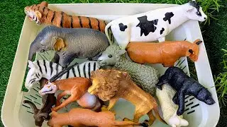 Животные из зоопарка и фермы для детей | Изучение названий животных и мест их обитания