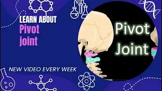 Pivot joint in english