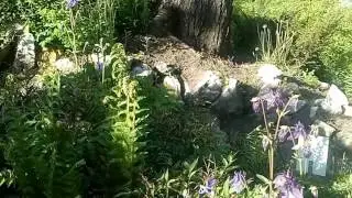 V botanick&eacute; zahradě Na Slupi v Praze