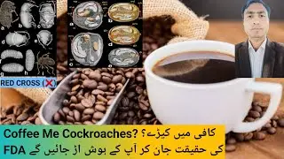 Shocking Truth: کیا واقعی کافی میں 10% کاکروچ ہوتے ہیں؟ FDA Myths Exposed!
