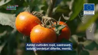 Istoria de succes a lui Victor Voina din satul Roșu &ndash; AGRO TV News
