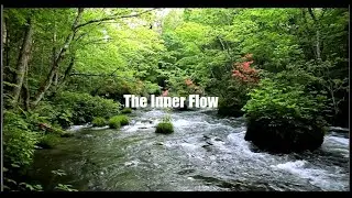 TONY F.  The Inner Flow  ( Instrumental Version )