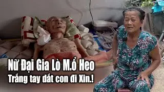 Nữ đại gia lò M.ổ Heo giàu có giờ trở thành hộ nghèo dắt con đi xin sống qua ngày