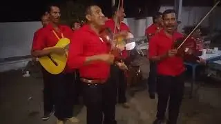 María Elena Conjunto Estrellas del sur las lajas pespire 🎻🌟