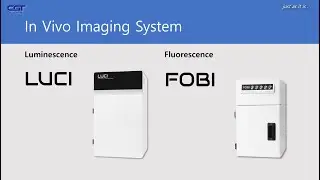 In Vivo Imaging System FOBI LUCI PPT 02