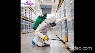 Pest Control Services in Brisbane | Pest Control Services Brisbane | Brisbane Pest Control Services