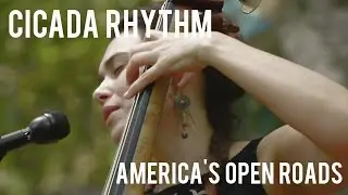 Cicada Rhythm: America's Open Roads