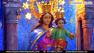 🔴🅻🅸🆅🅴 24th Jan 2026 Special Evening Mass | Sagaya Madha Shrine | St Francis Xavier Church, Broadway