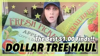 DOLLAR TREE HAUL **SHOCKING $1.00 FINDS** ITEMS TO NOT PASS UP ON