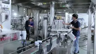Fully Automatic Coffee Bean Seed Candy Jelly Grain Granule Filling Sealing Labeling Packing Machine