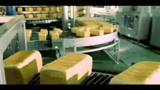 Gardenia 2010 Commercial