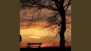 time will tell