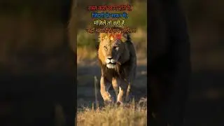 #shorts #motivation #attitude #whatsappstatus #success #sayari #status #reels #shortsfeed#viral