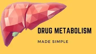 Drug Metabolism Made Simple *ANIMATED*