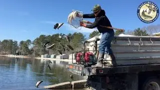 MassWildlife | Spring Trout Stocking 2017