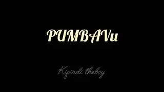 Kipindi theboy  -pumbavu  audio remx 