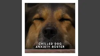 Pet Love Forever