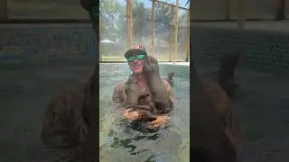 Add An OTTER SWIM To Your VIP Tour! Book Now at AnimalEDventures.com