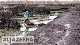 UK court hears appeal in Shell Nigeria oil spill case
