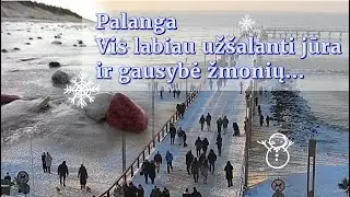 Palanga. Vis labiau užšalanti jūra ir gausybė žmonių.