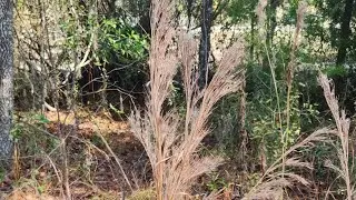 Find this, and you have a fire
